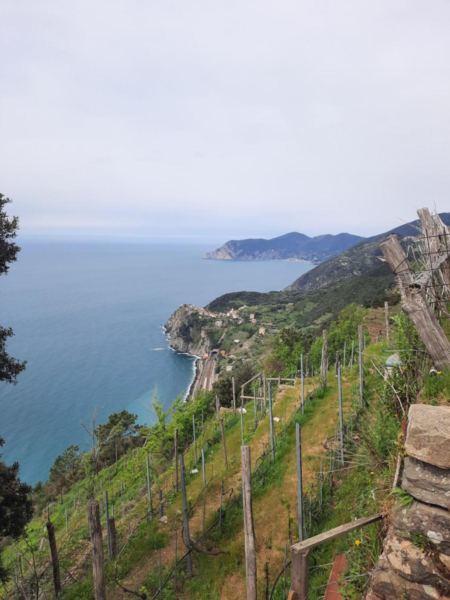 Appartement Il Vicoletto La Spezia